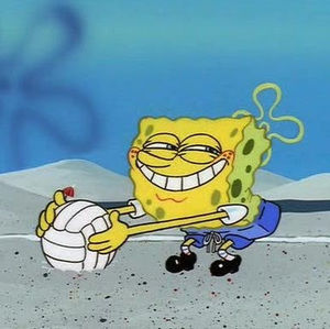 Meet your Posher, Ava